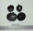 Click for 1 image(s) for this accession. FRUIT